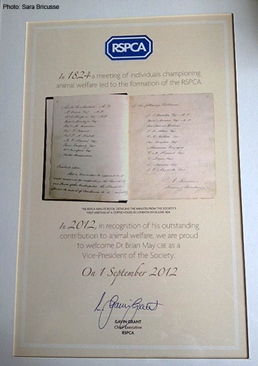 RSPCA VP Certificate