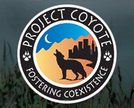 Protect Coyote