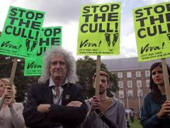 Brian May at Bristol rally