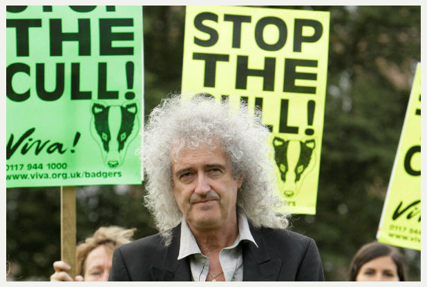 Brian May - Stop The Cull