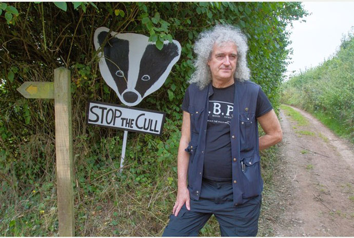 Brian May camp badger