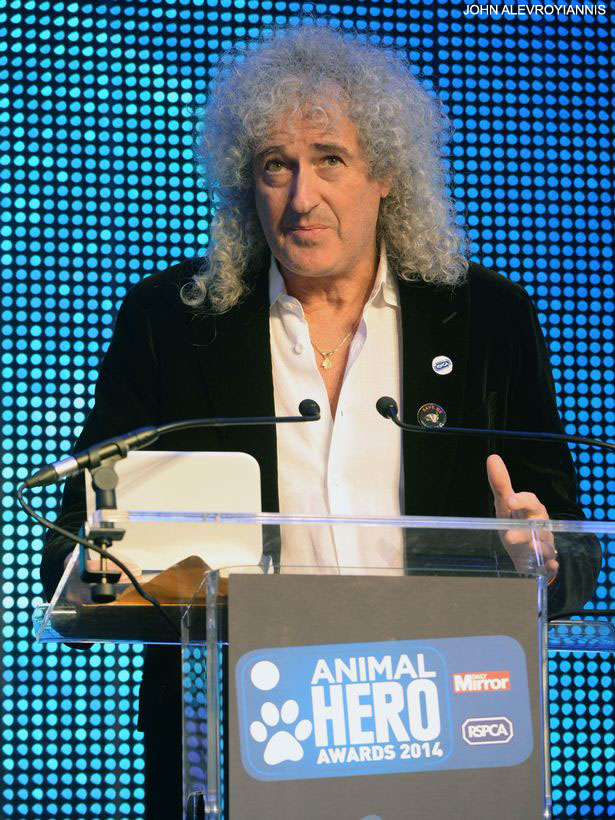 Daily Mirror RSPSA Animal Hero Awards 2014 at the Grosvenor