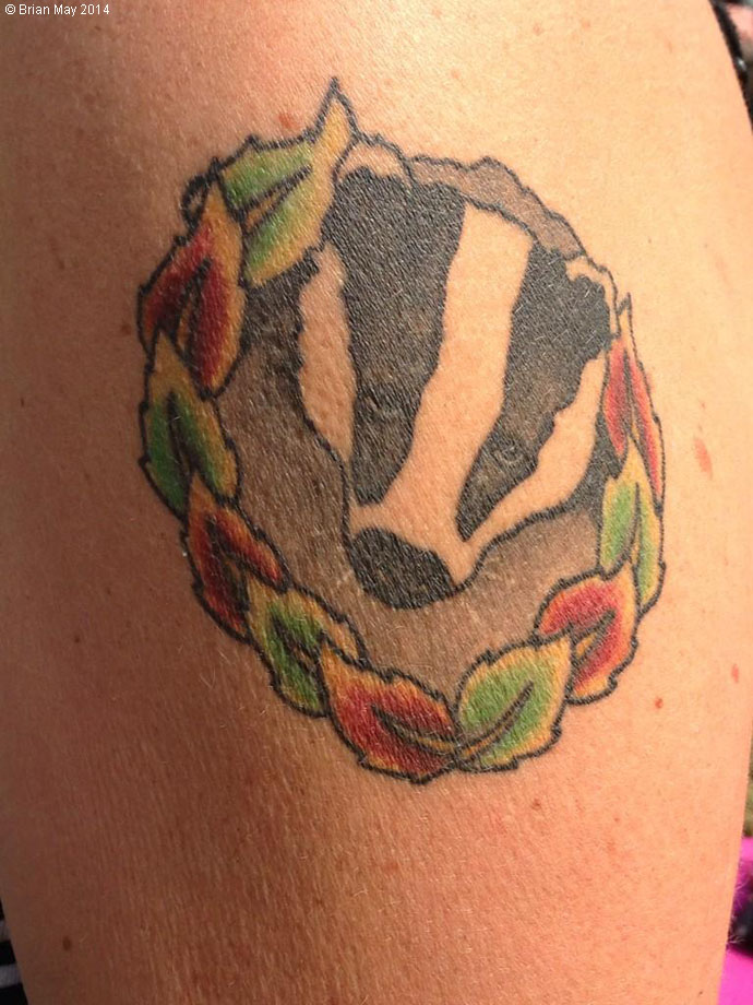 Badger tattoo