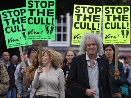 Brian May with 'Stop The Cull
