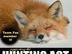 Hunting Act - Team Fox