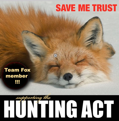 Hunting Act - Team Fox
