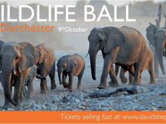 Wildlife Ball - The Dorchester