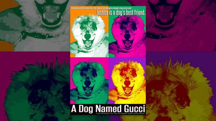 A Dog Named Gucci