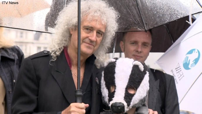 Brian and badger in rain