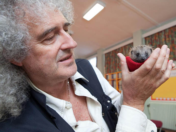 Brian May and hedgeho