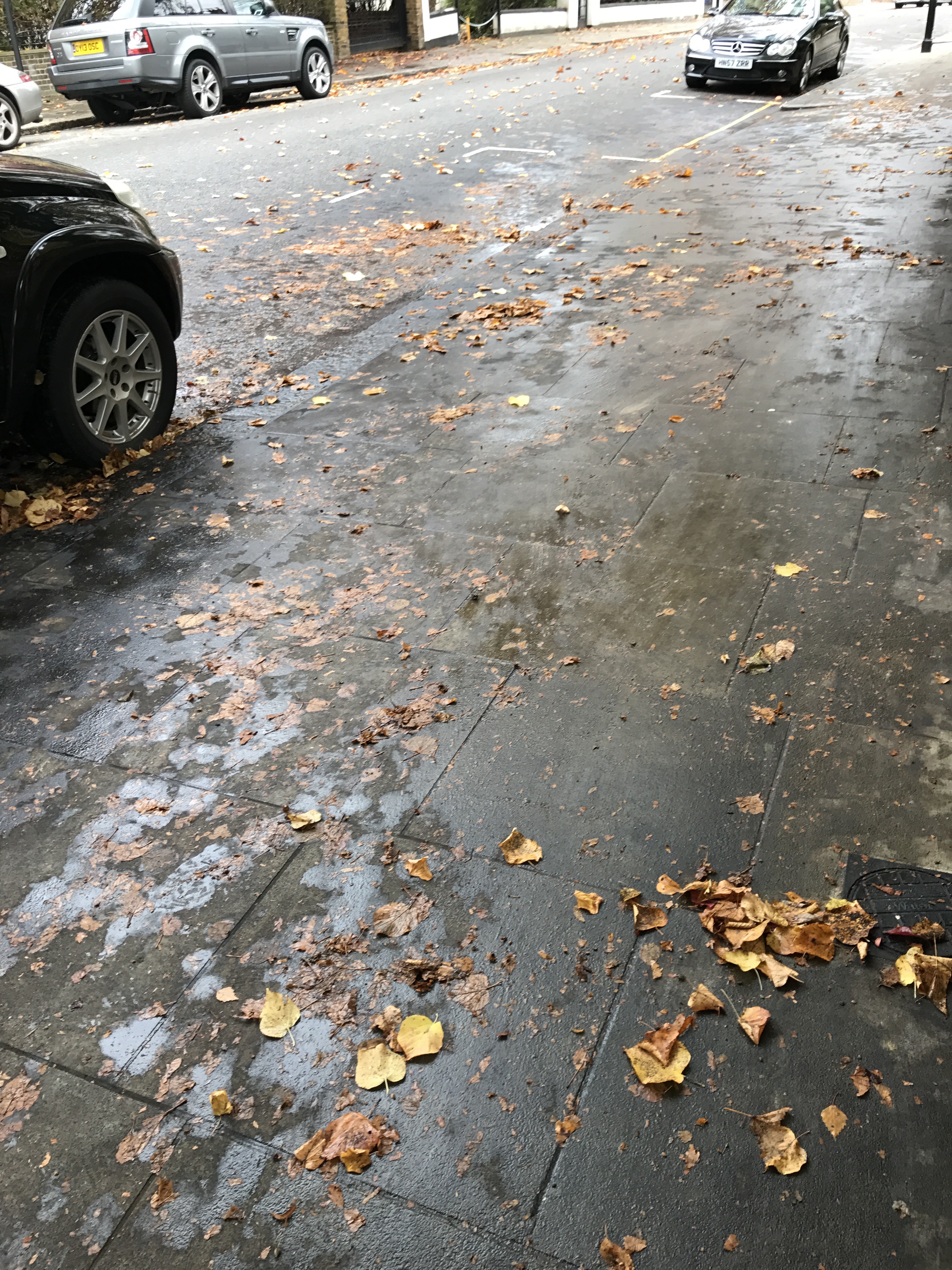 Leaves in road