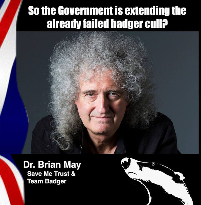 Brian May - Government extending failed cull