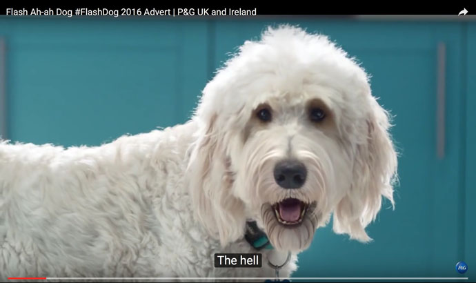 Flash dog ad