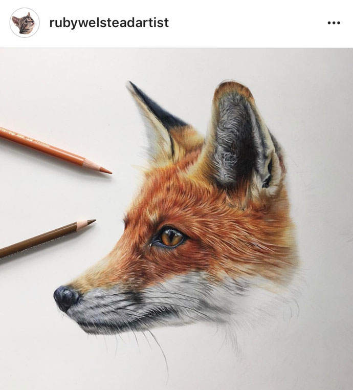 Finished fox picture