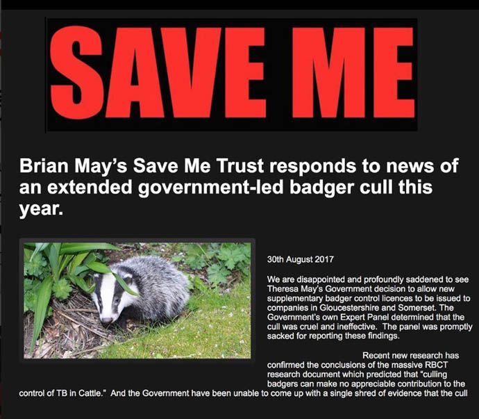 Save Me on Badger cull 2017
