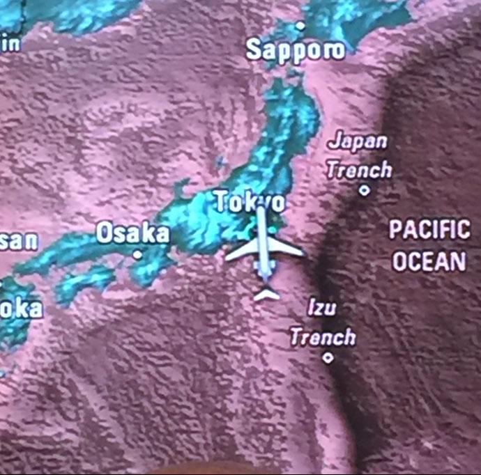 Flight map