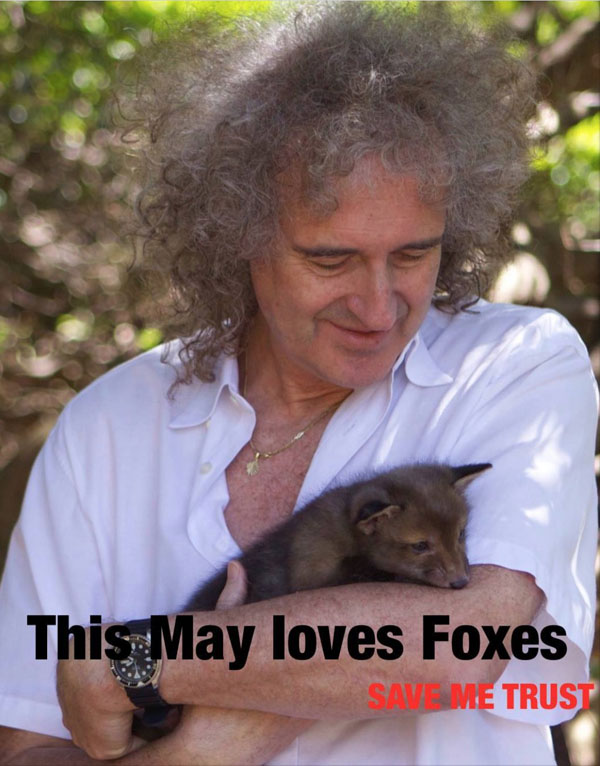 his MAY loves foxes