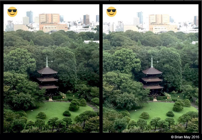 Tokyo garden view