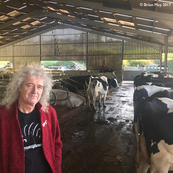 Bri in cowshed on Devon farm