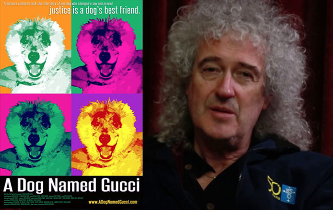 Brian May - One Voice - A Dog Named Gucci