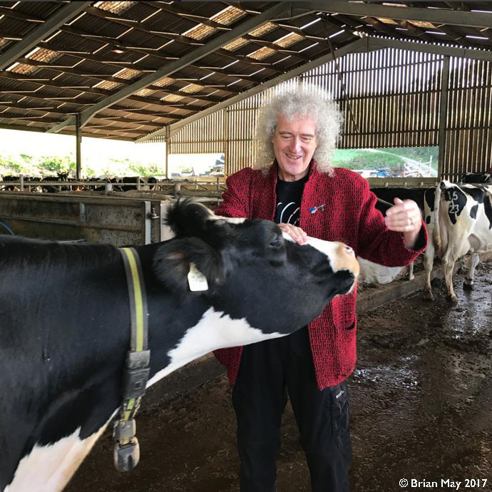 Bri with cow before ate jacket