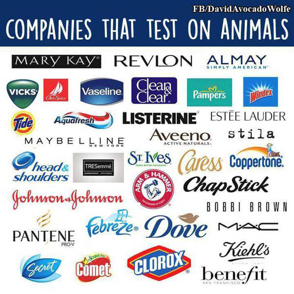 Companies that test on animals