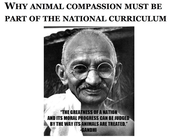 Gandhi annimal compassion