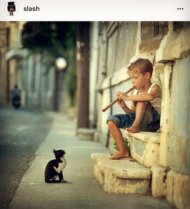 Cat and boy - from Slash
