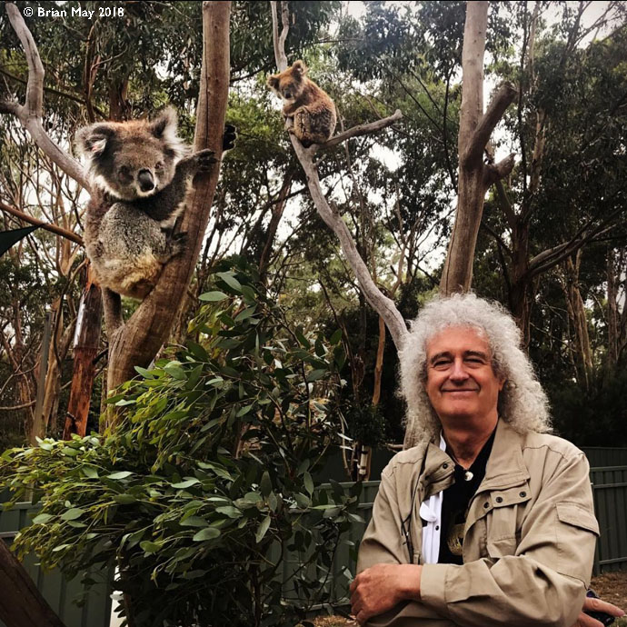 Bri and Koalas