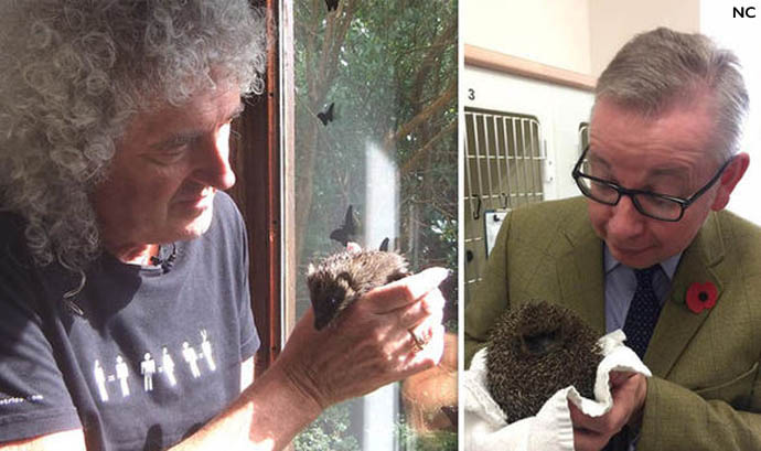 Brian May and Michael Gove - Hedgehogs