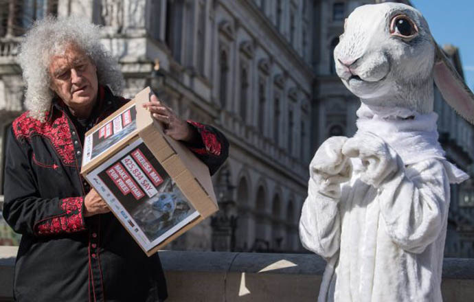 Brian May and activist dressed as rabbit