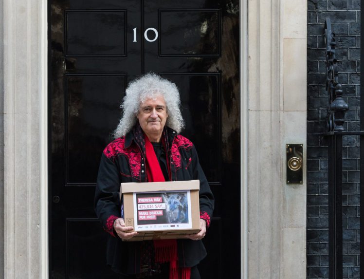 Brian May in Downing Street