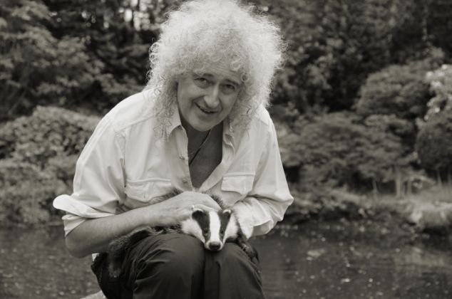 Brian May with rescued badger, Harry