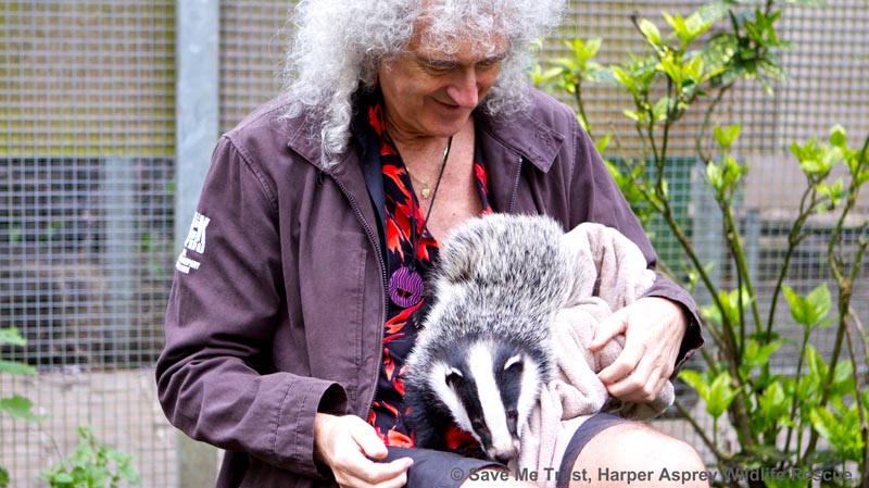 Brian May and badger