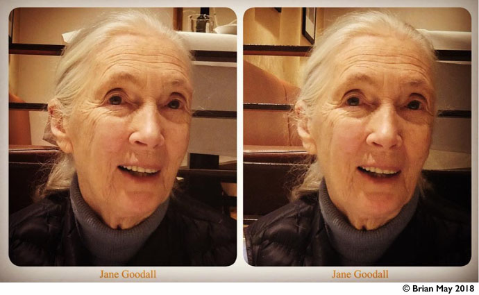 Jane Goodall - stereo