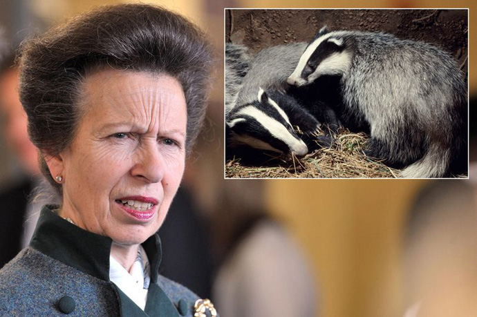 Princess Anne and badgers