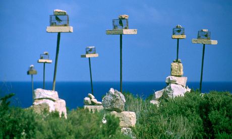 Malta birds