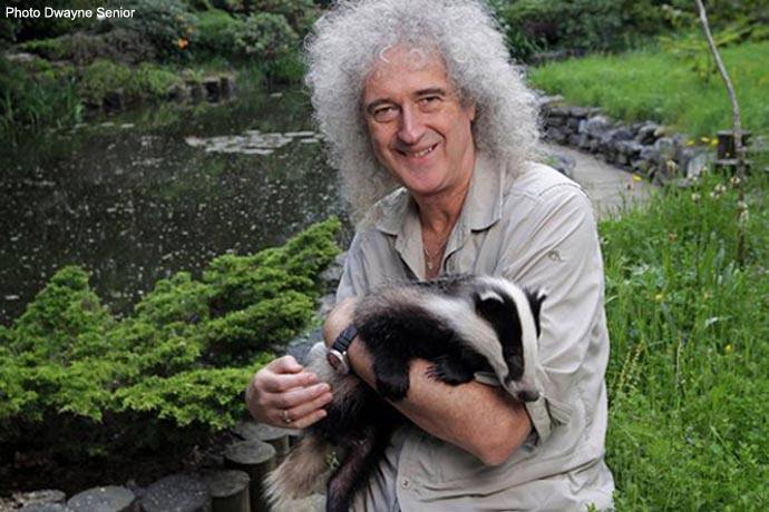 Brian May with badger