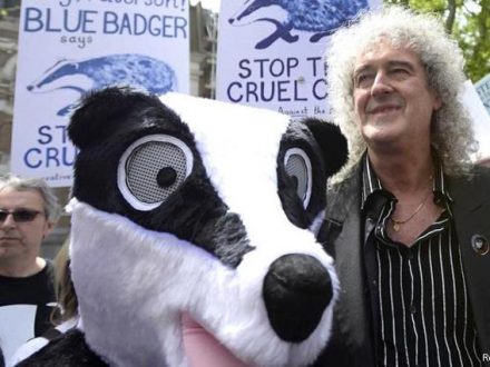 Brian May with Blue BadgersBrian May with Blue Badgers