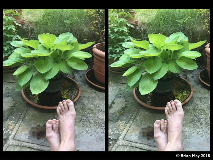 Put feet up with hostas - stereo