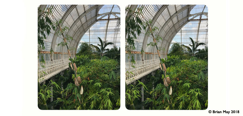The Tropical House in stereo