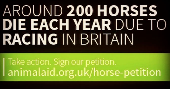 Horses' petition