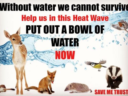 Save our animal friends