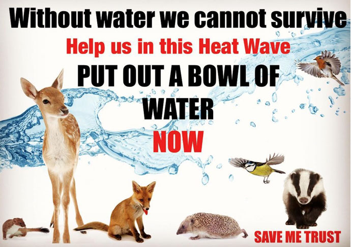 Save our animal friends
