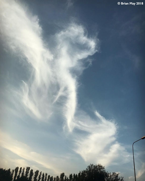 Winged horse in the sky
