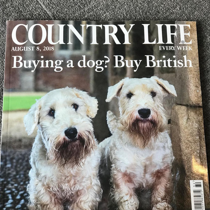 Country Life - Buying A Dog? 8 August 2018