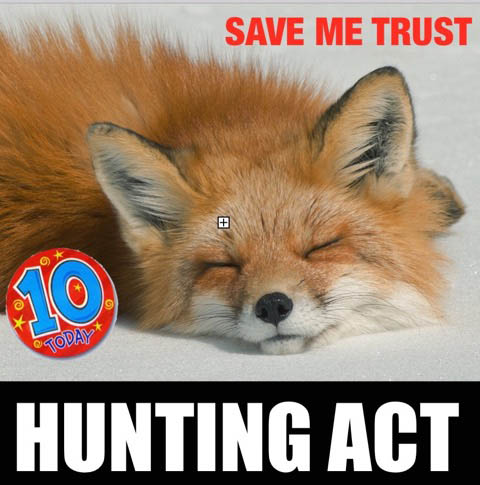 10 Years - Hunting Act
