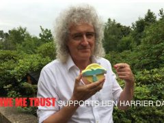 Brian supports Hen Harrier Day