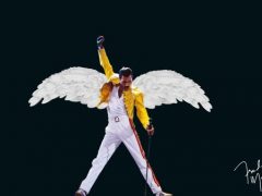Freddie angel