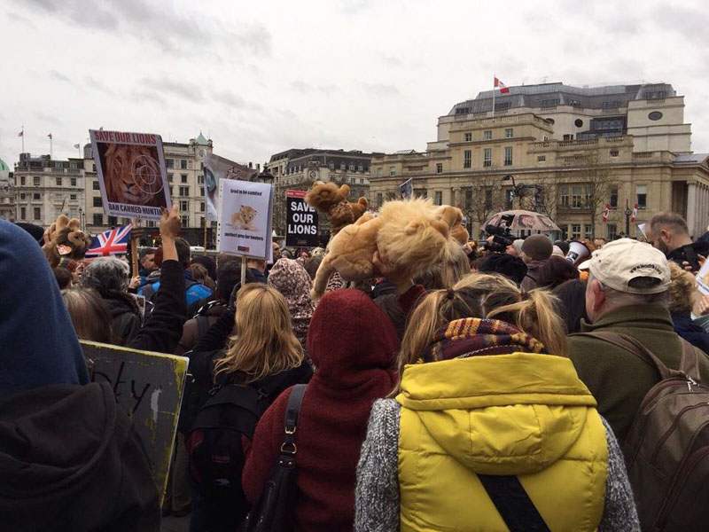 Supporting Lions in Trafalgar Square